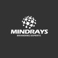 Best Digital Marketing Agency in Delhi - MindRays