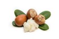 Shea Butter Suppliers Guide and Benefits